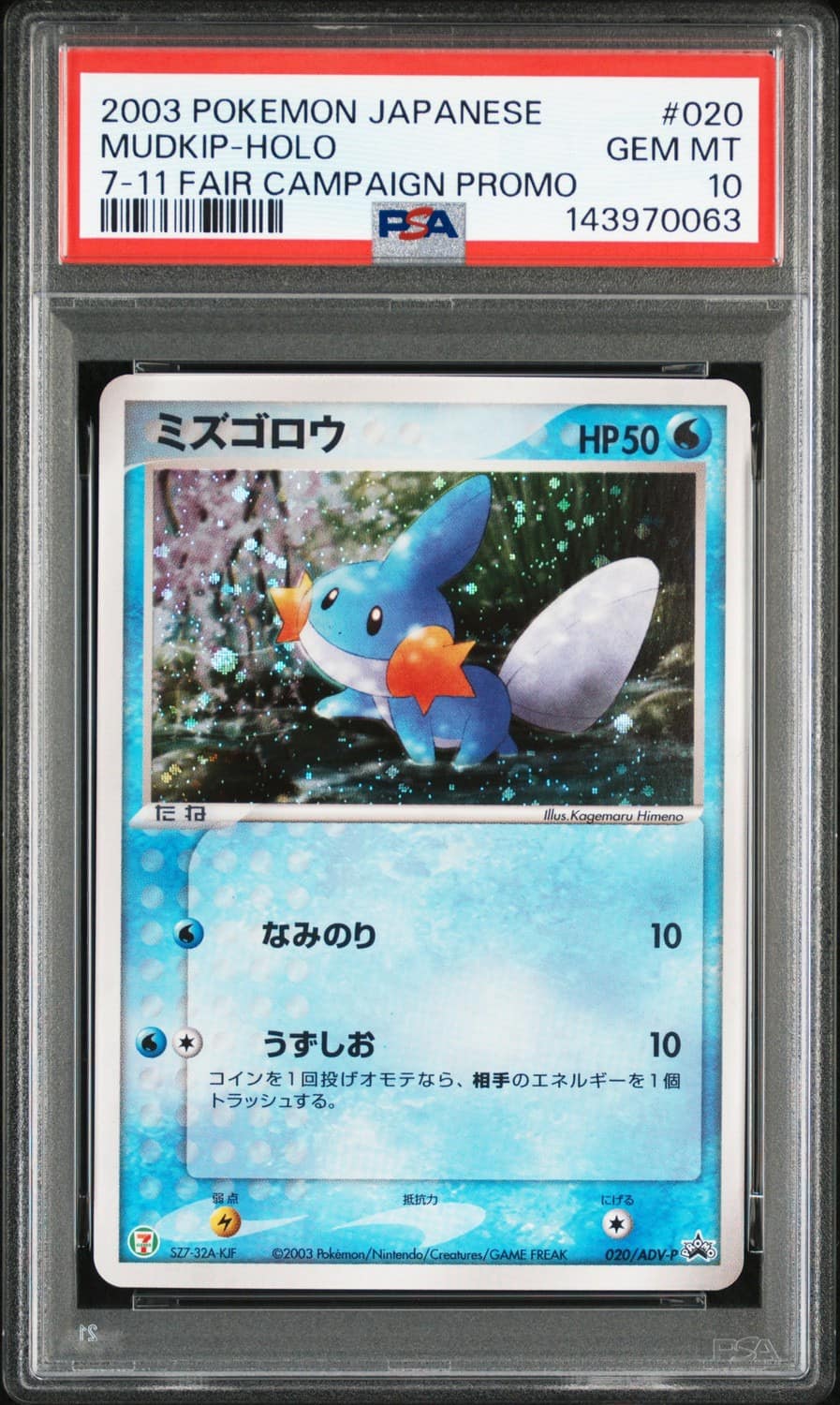 Mudkip