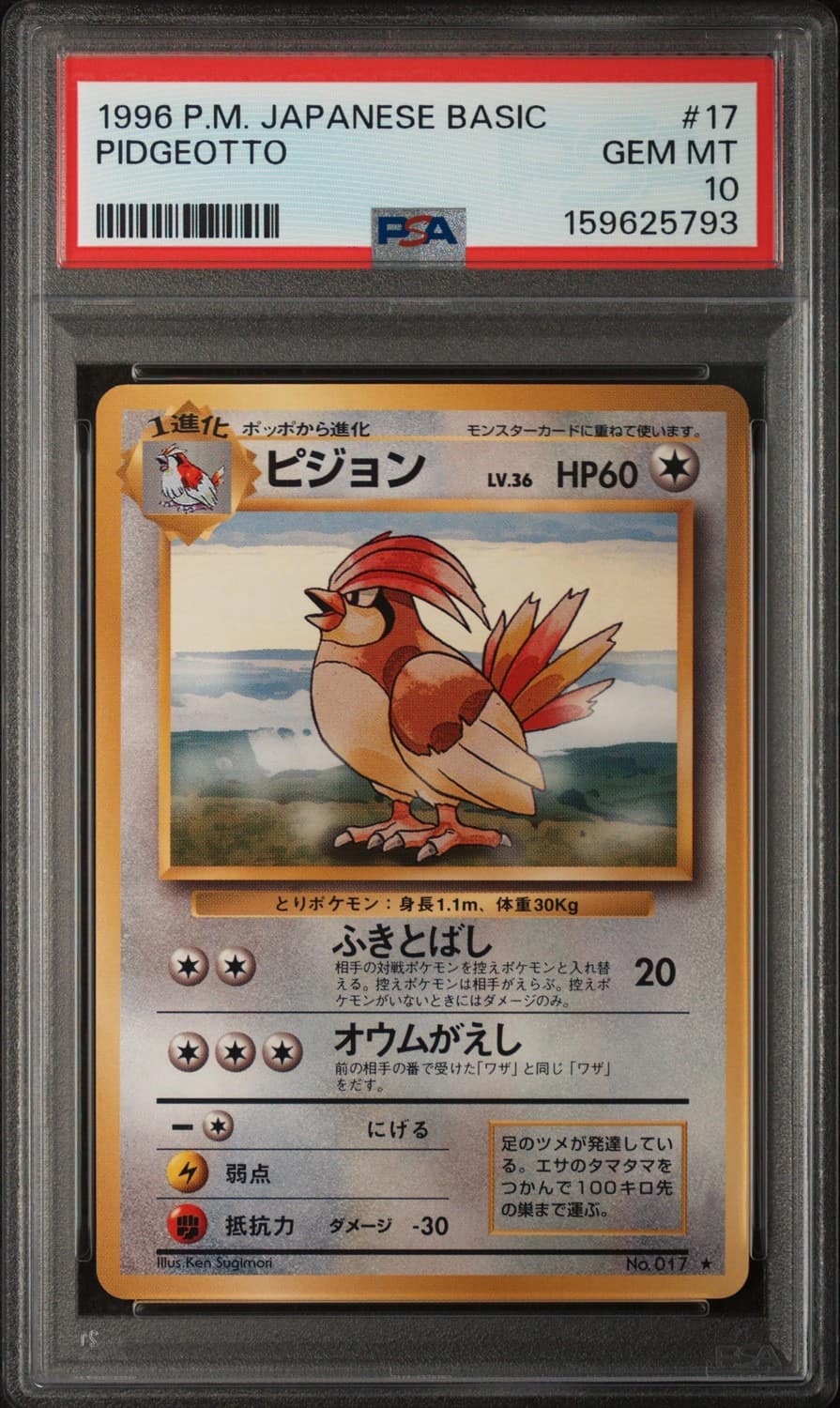 Pidgeotto