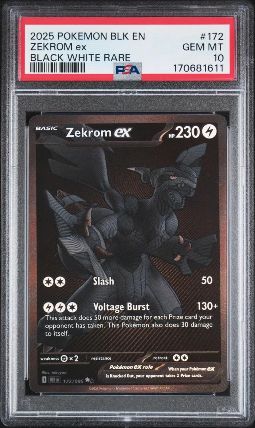 Zekrom Ex