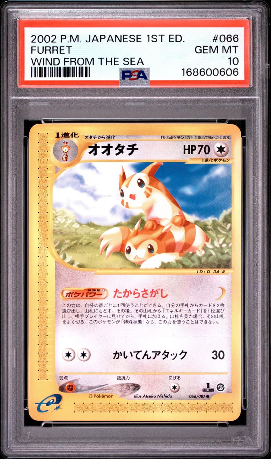 Furret