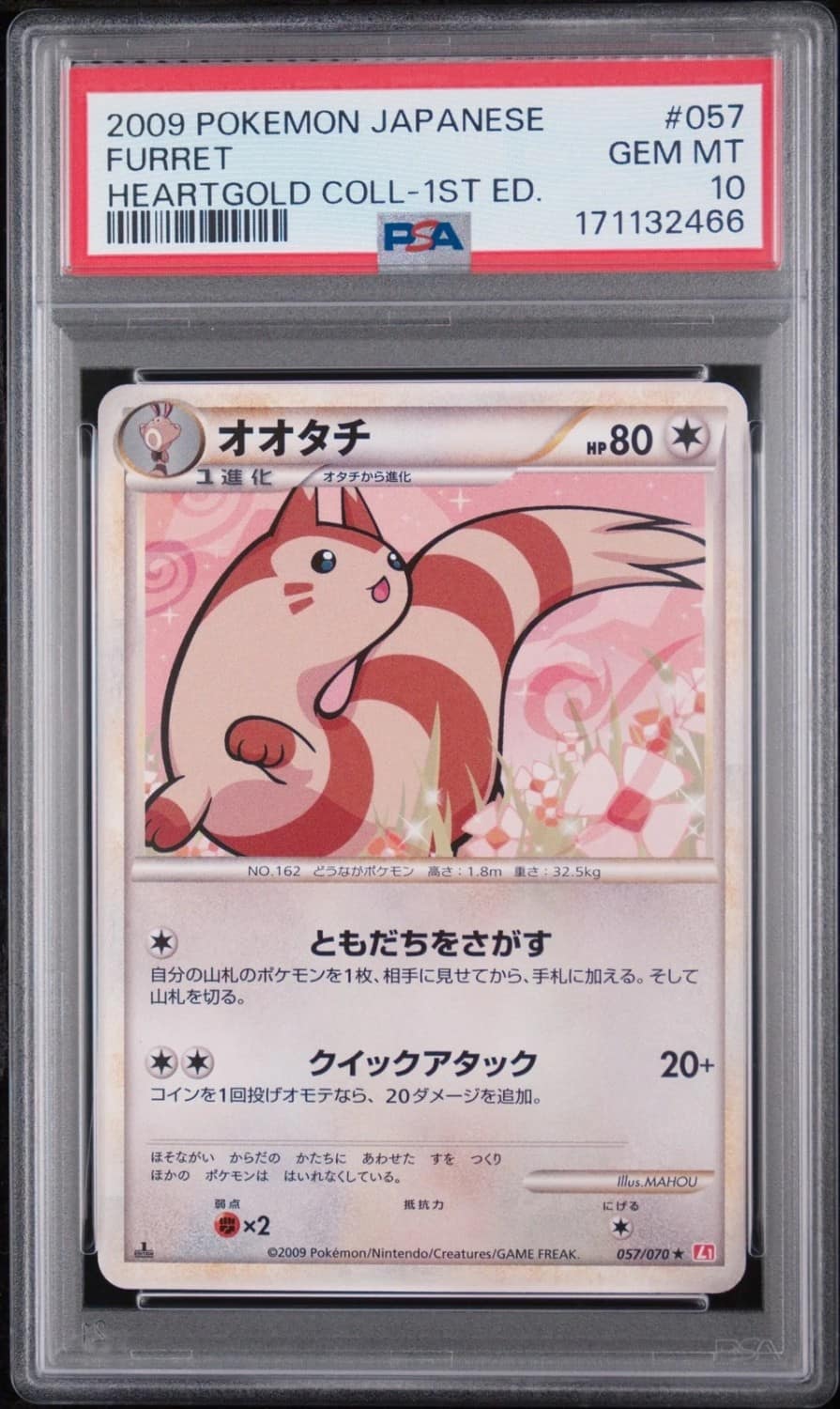 Furret