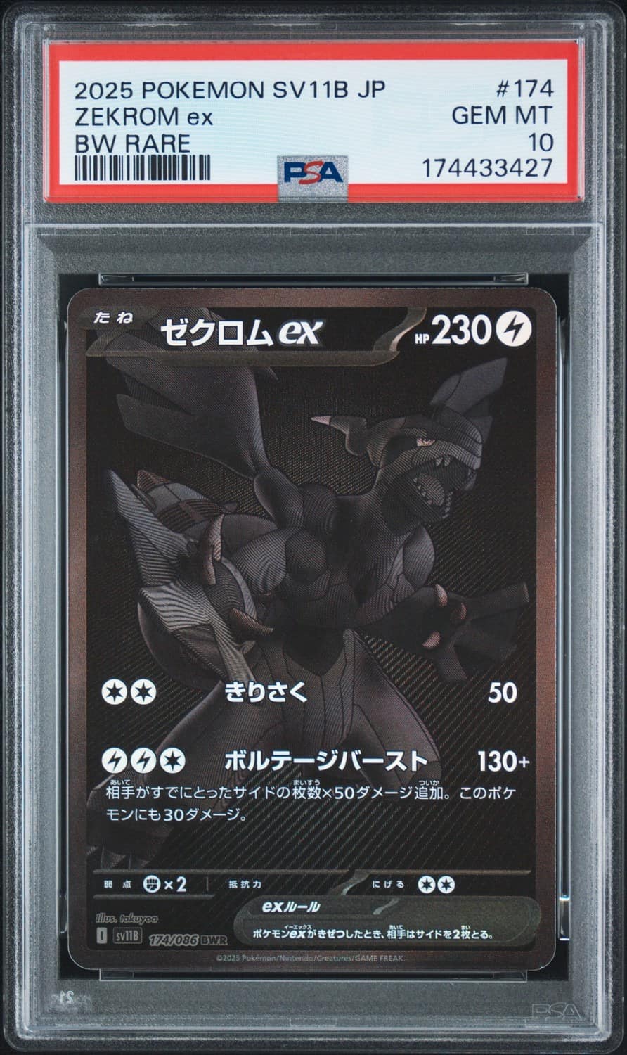 Zekrom Ex