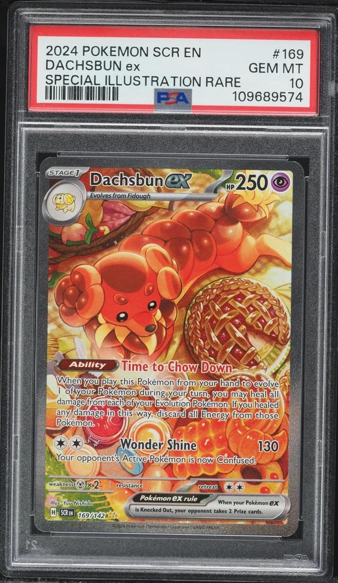 Dachsbun Ex