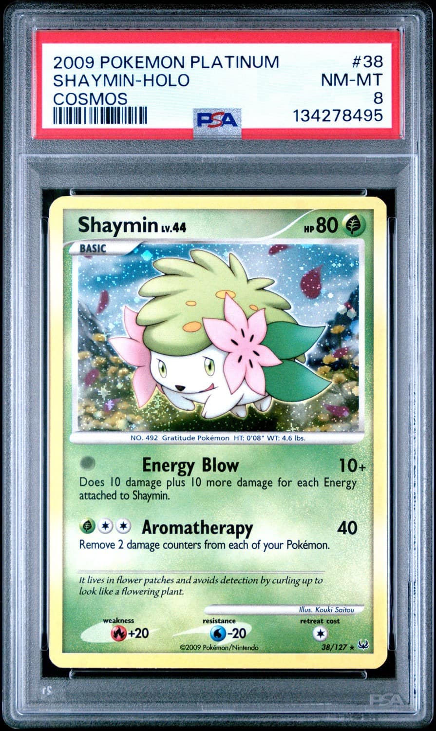 Shaymin