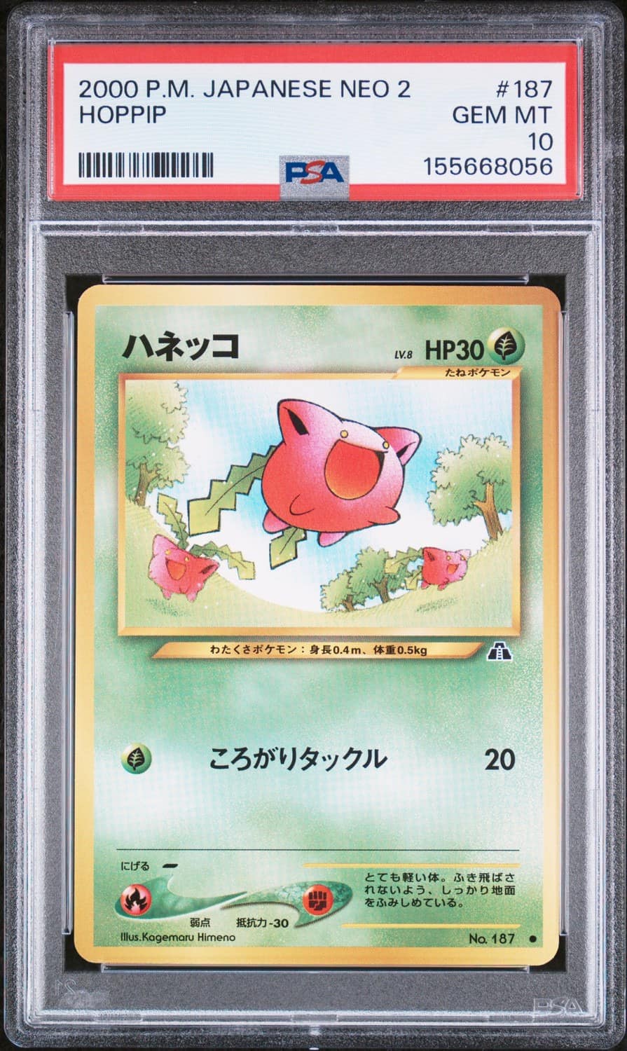 Hoppip