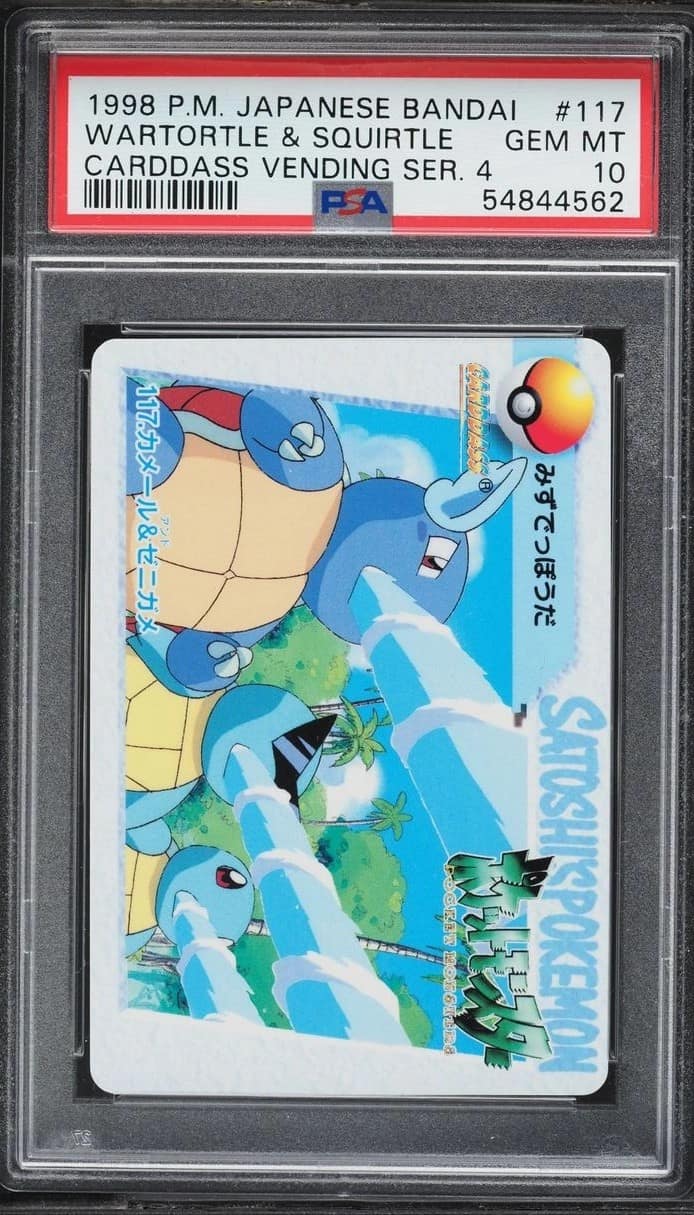 Wartortle & Squirtle
