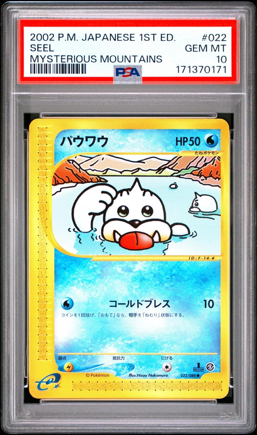 Seel