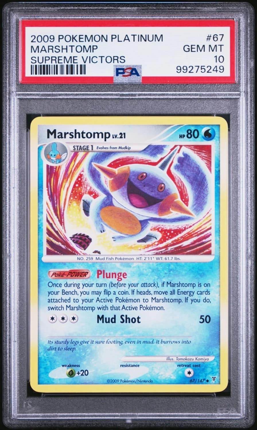Marshtomp