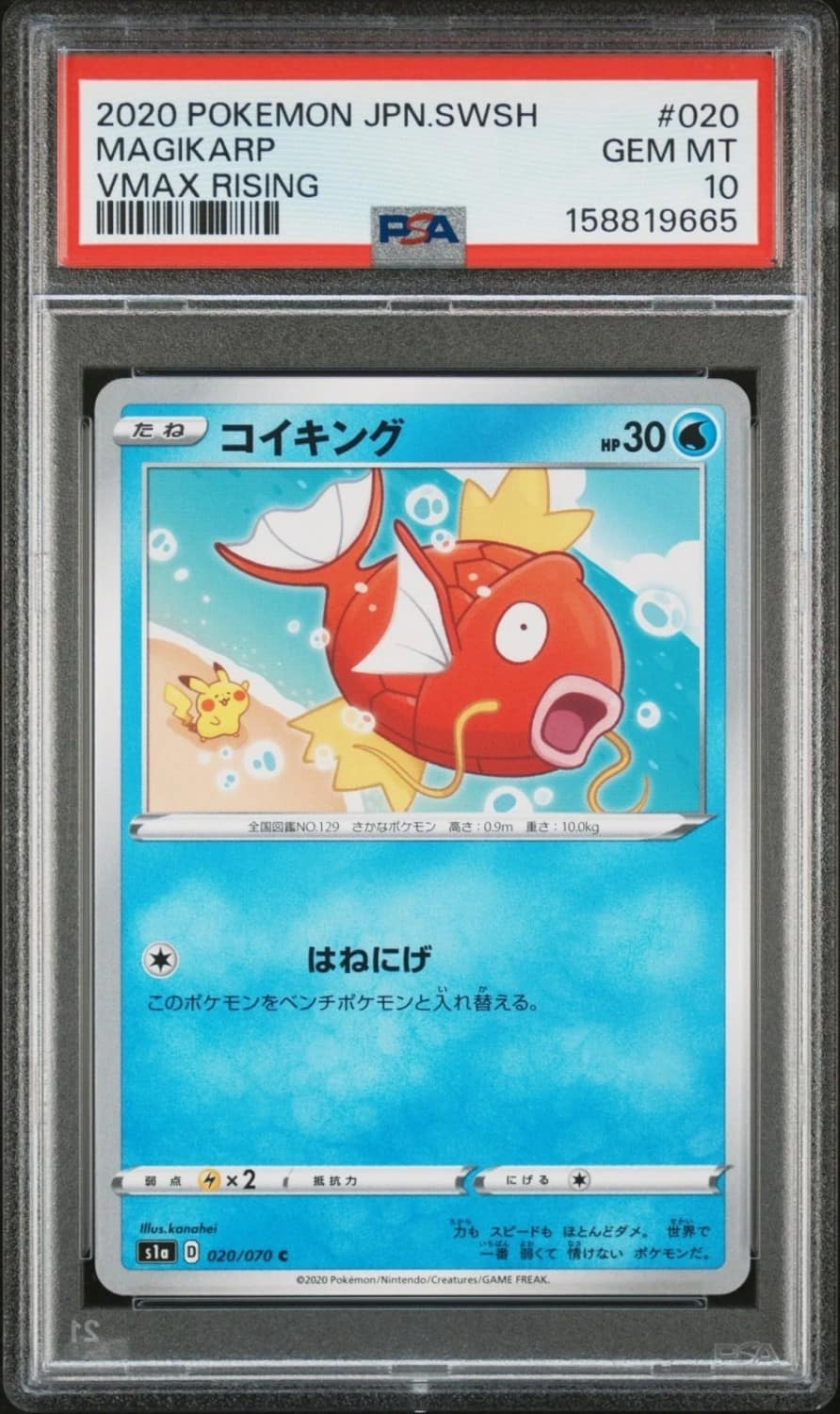 Magikarp