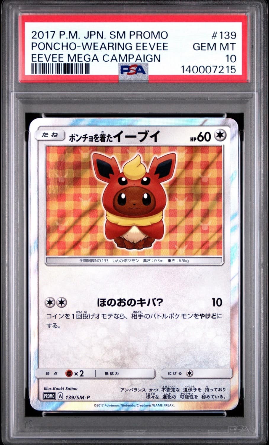 Poncho-Wearing Eevee