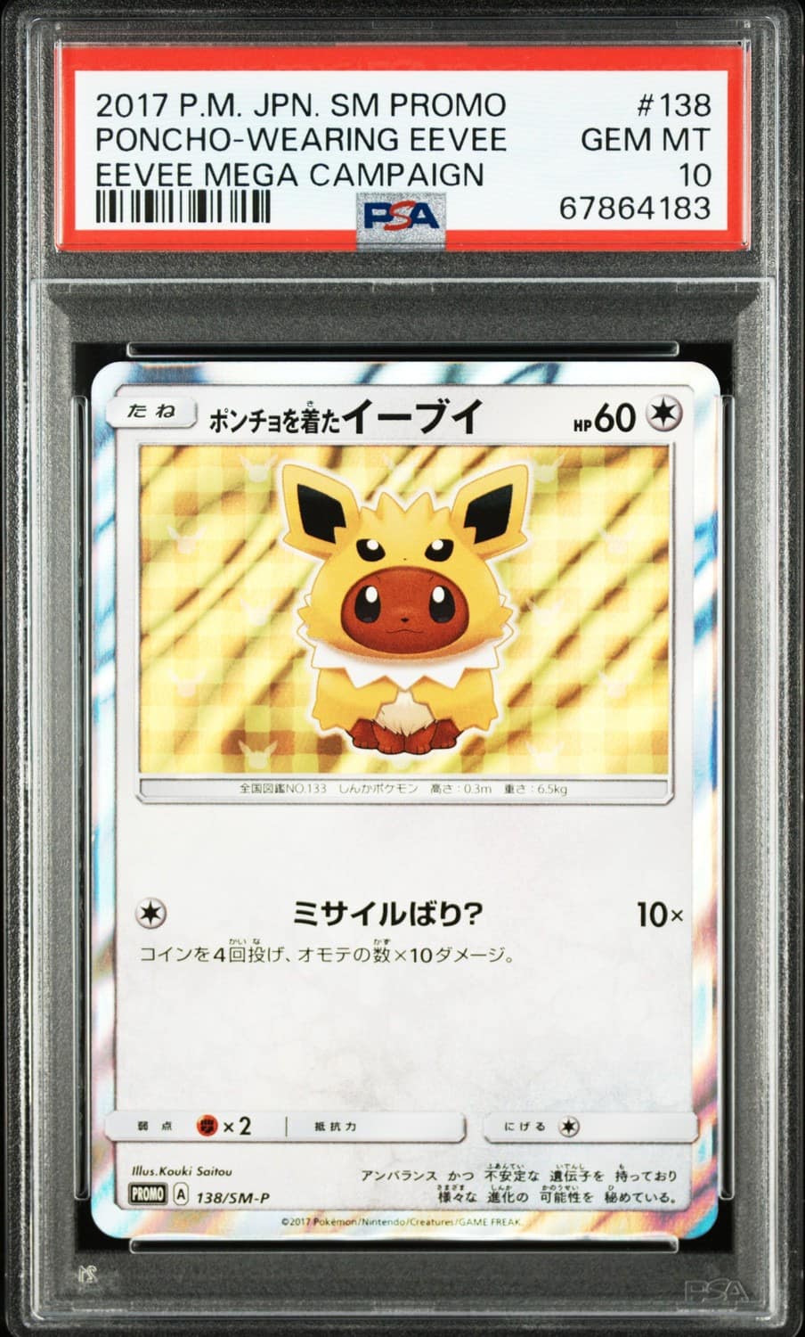 Poncho-Wearing Eevee