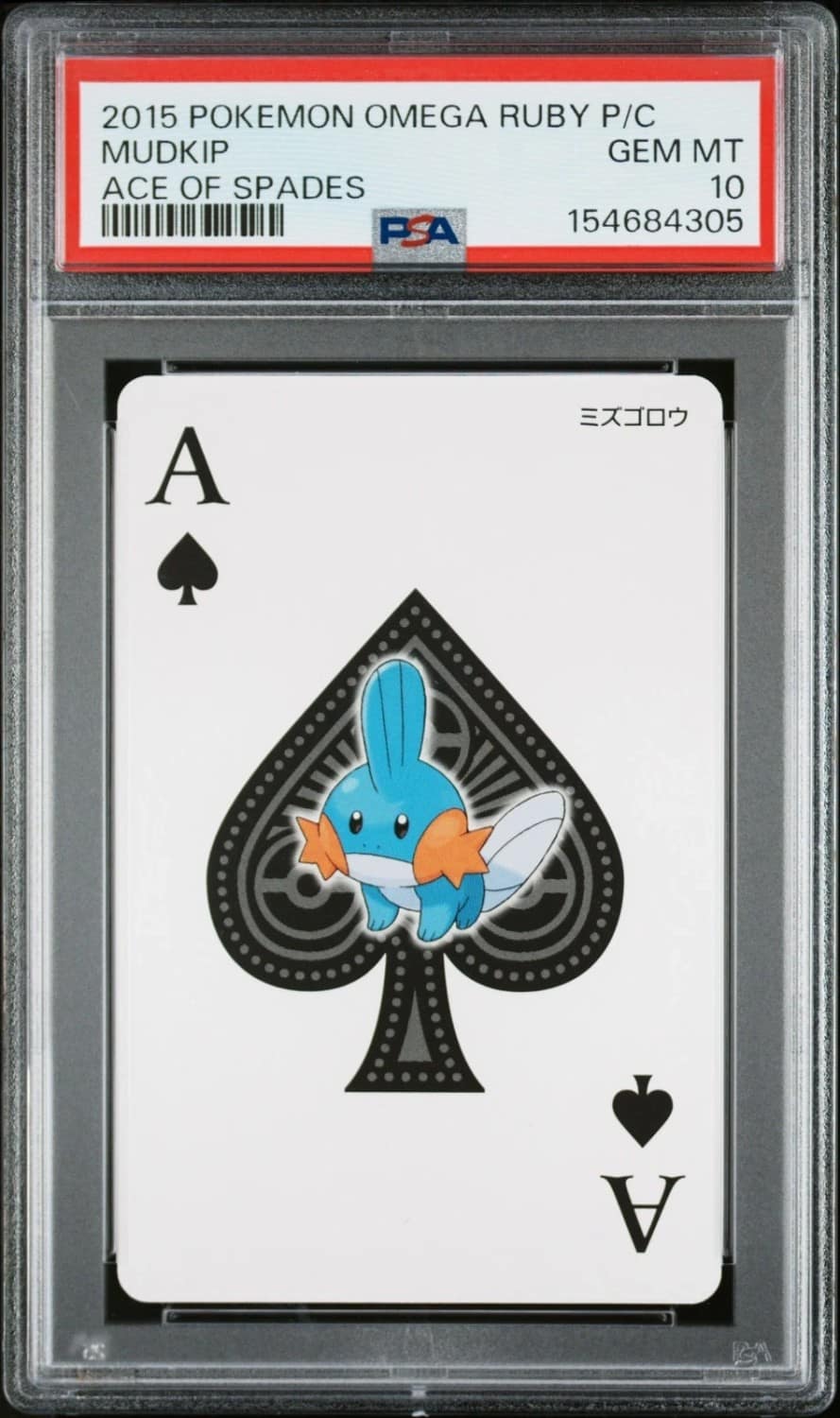 Mudkip