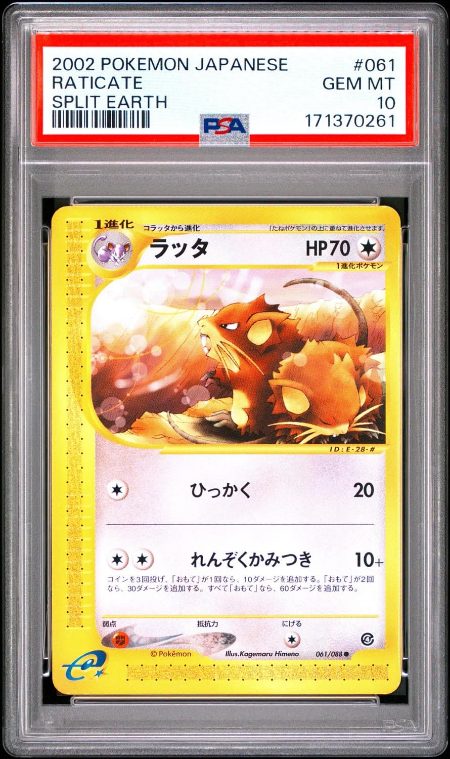 Raticate