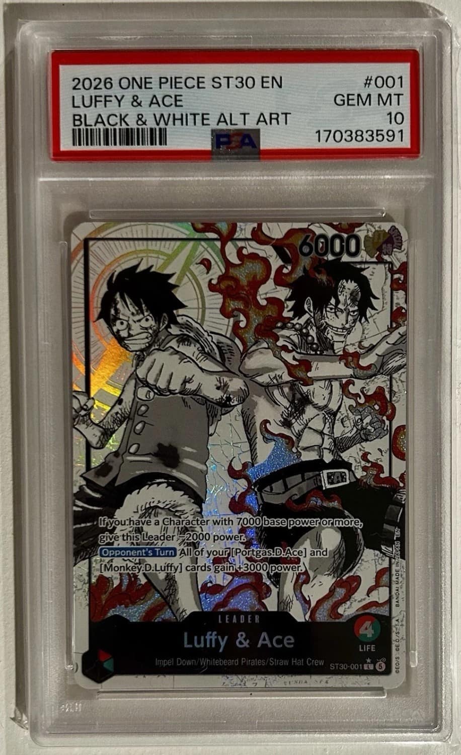 Luffy & Ace