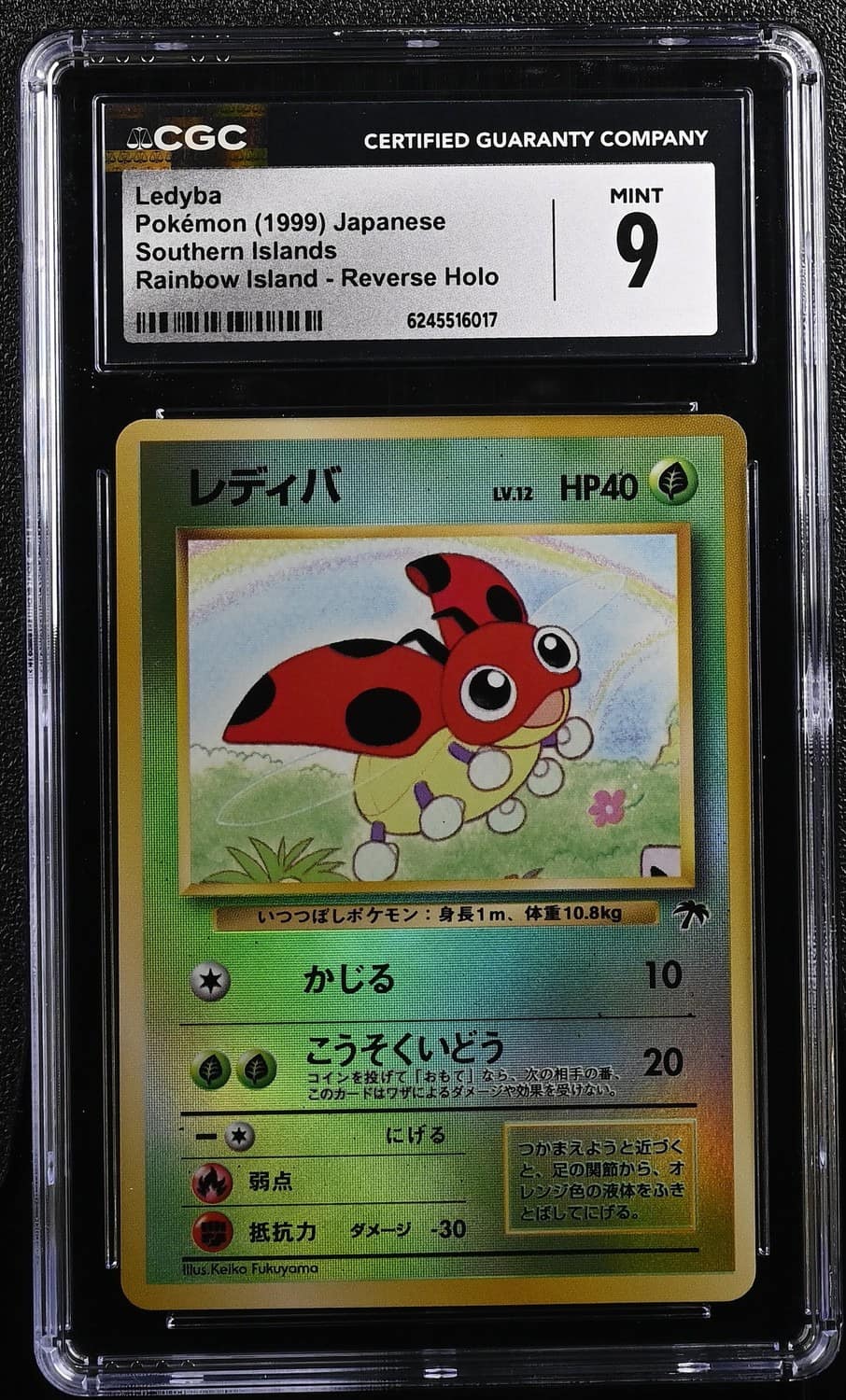 Ledyba