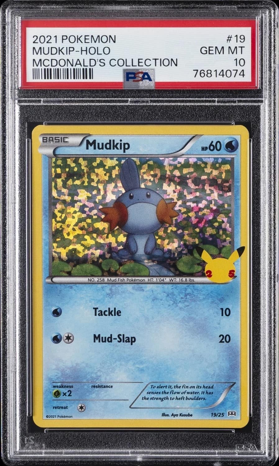 Mudkip