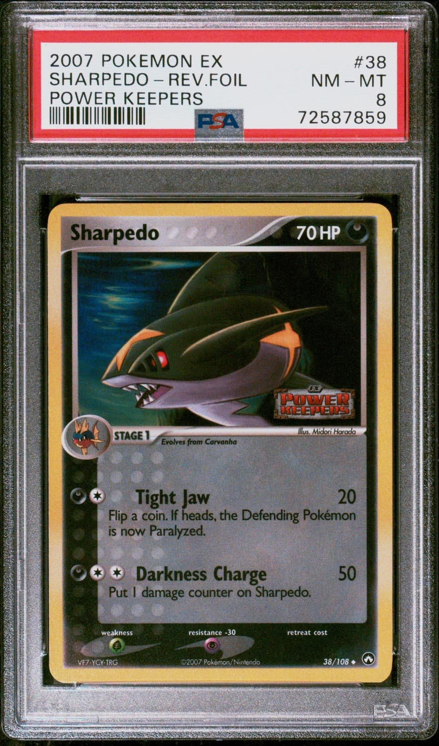 Sharpedo