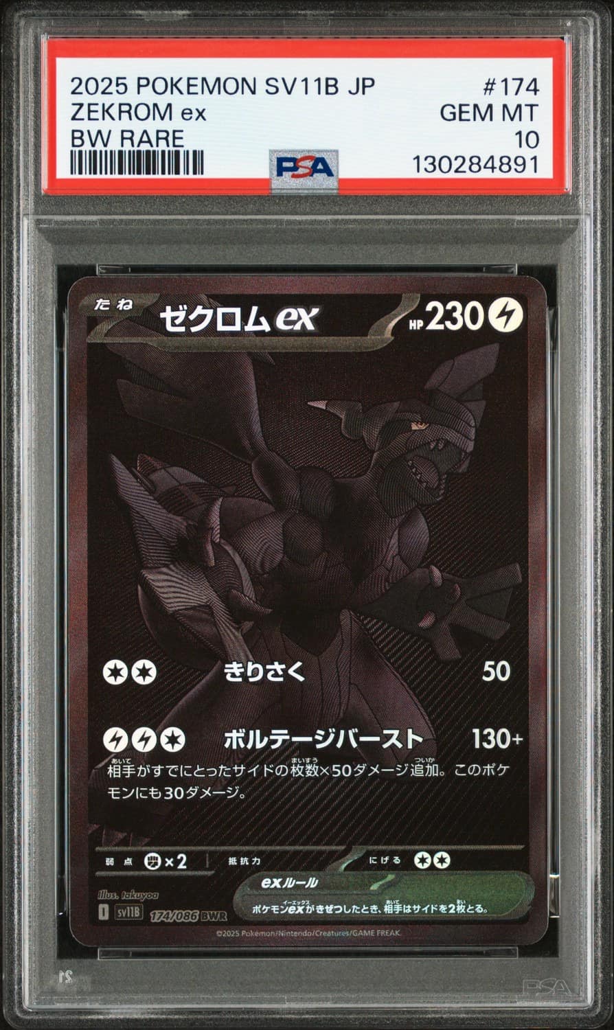 Zekrom Ex