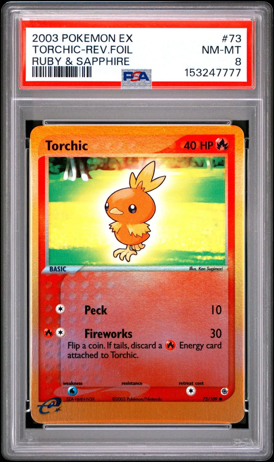 Torchic