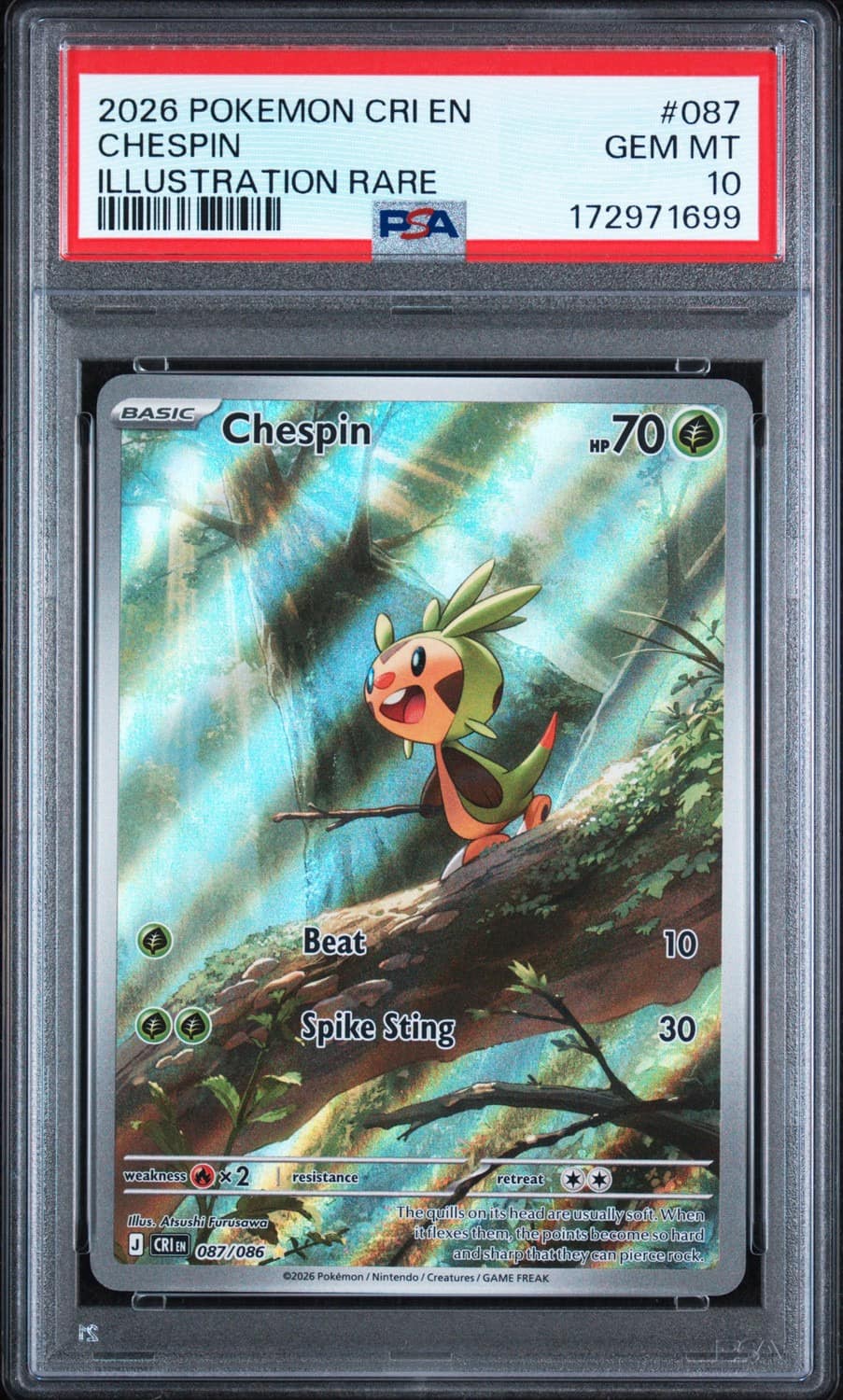 Chespin