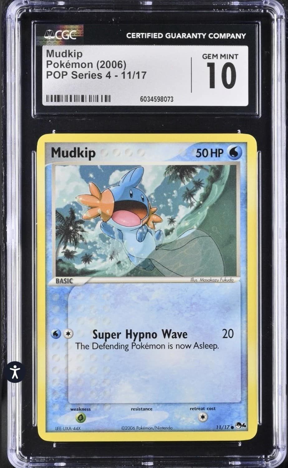 Mudkip
