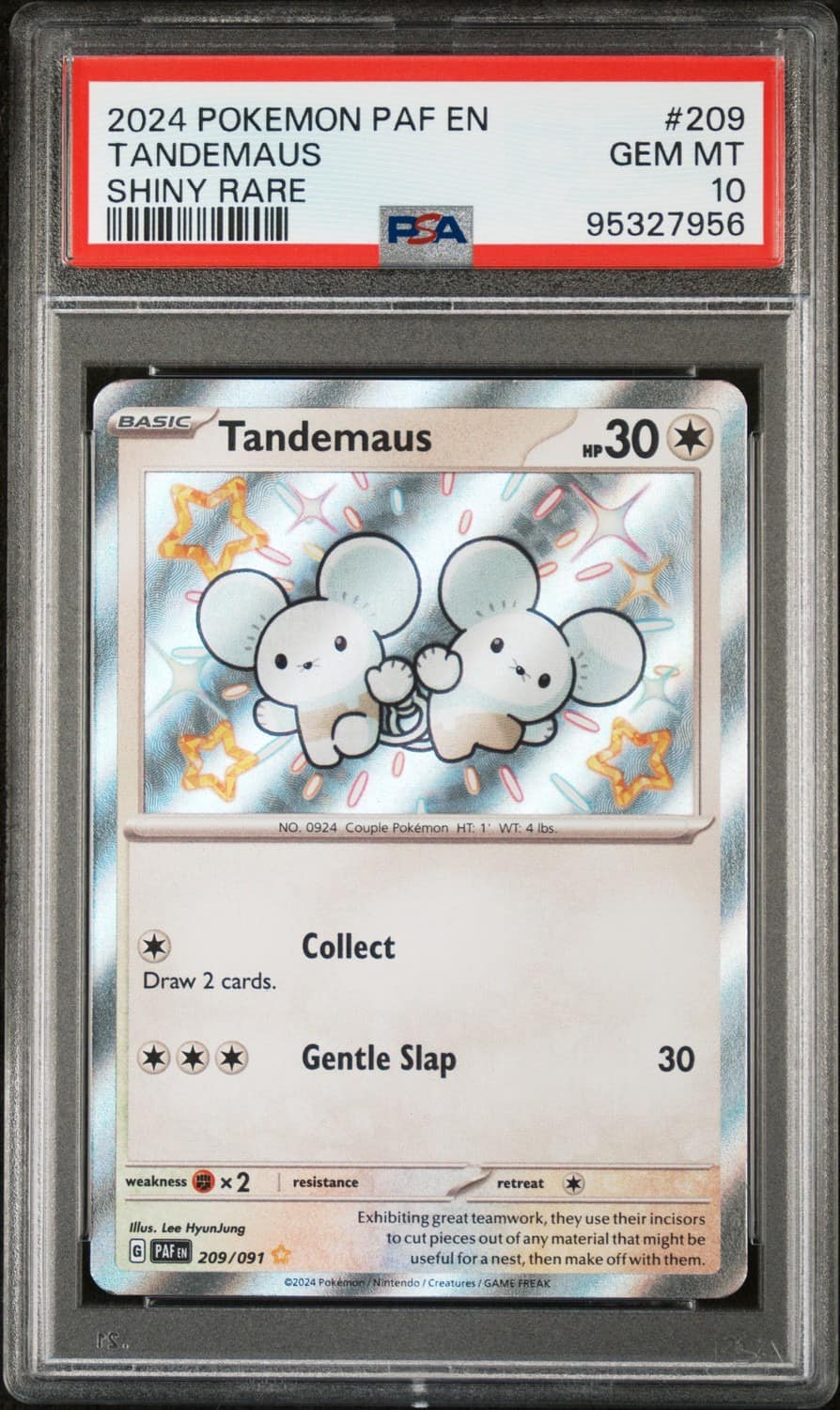 Tandemaus