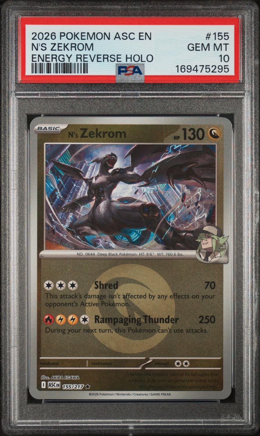 N'S Zekrom