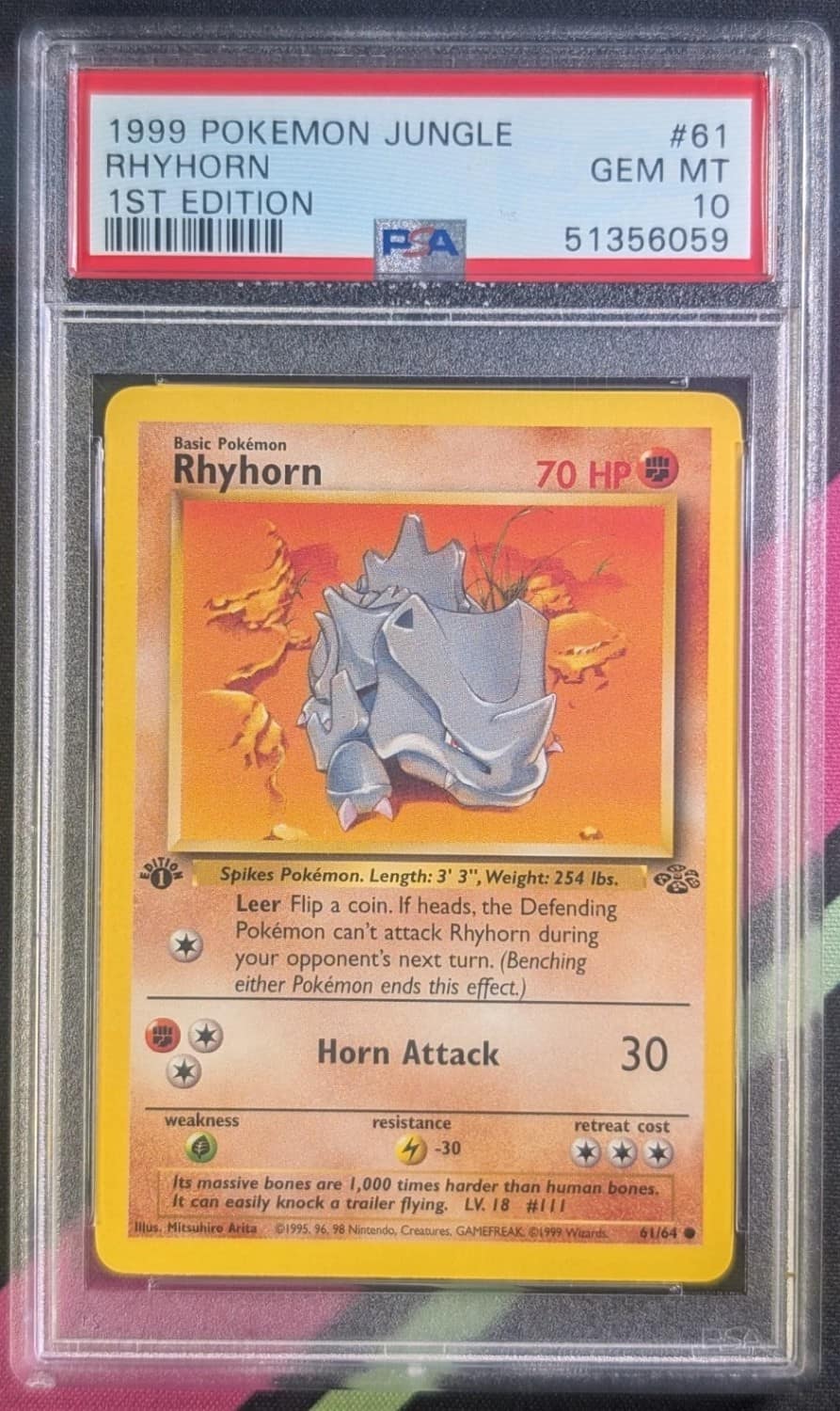 Rhyhorn