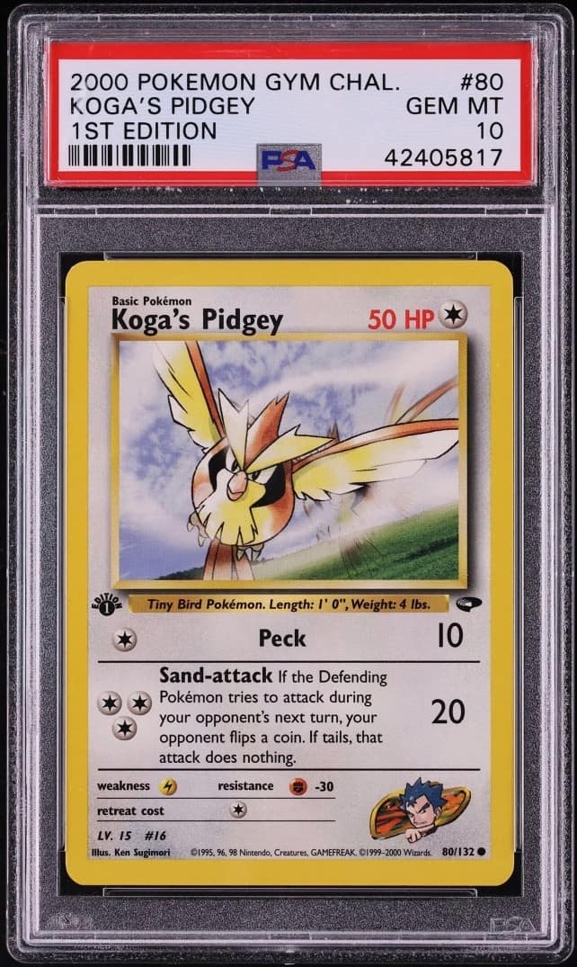 Koga'S Pidgey