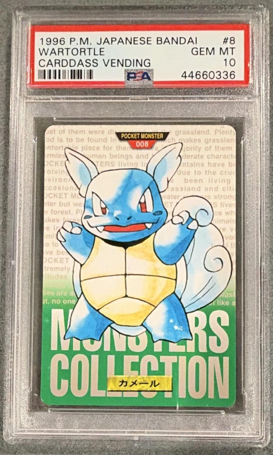 Wartortle