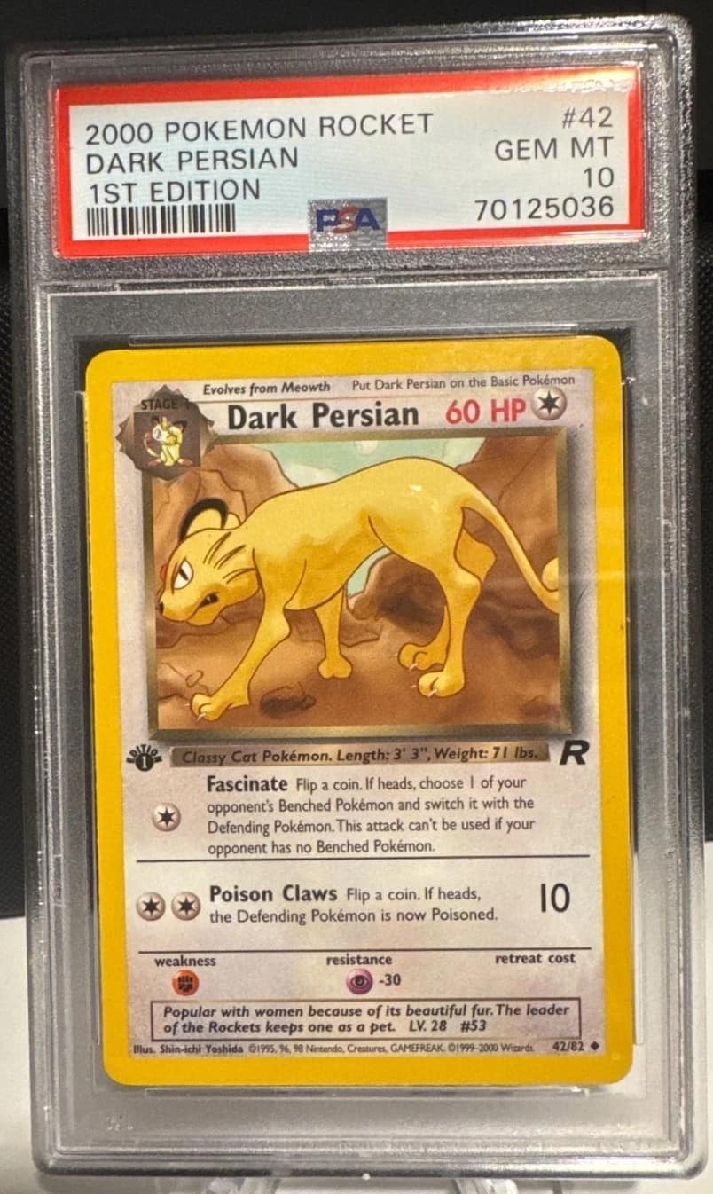 Dark Persian