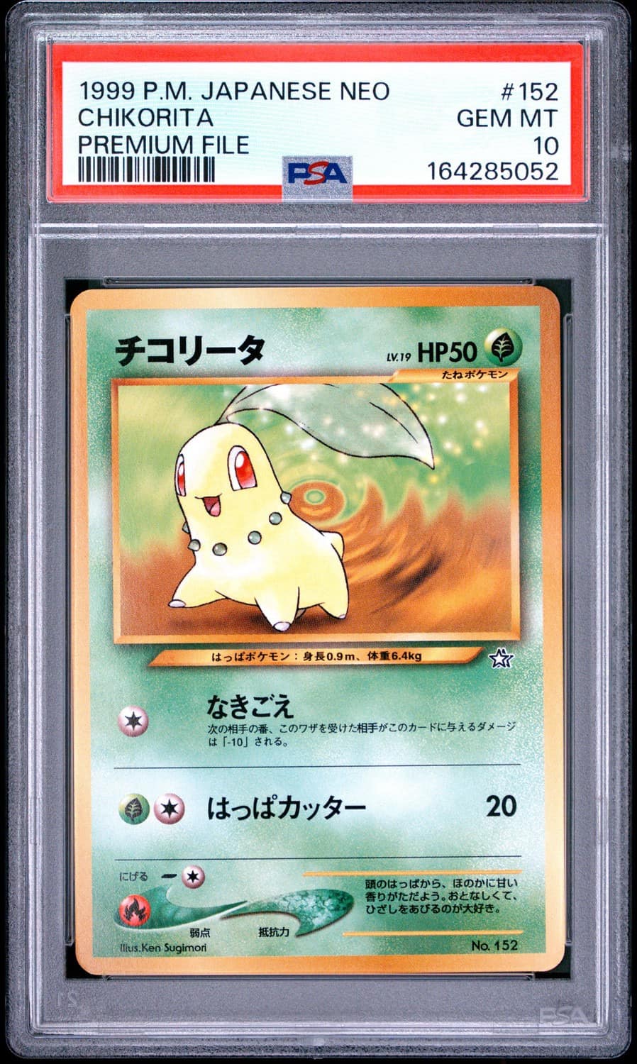 Chikorita