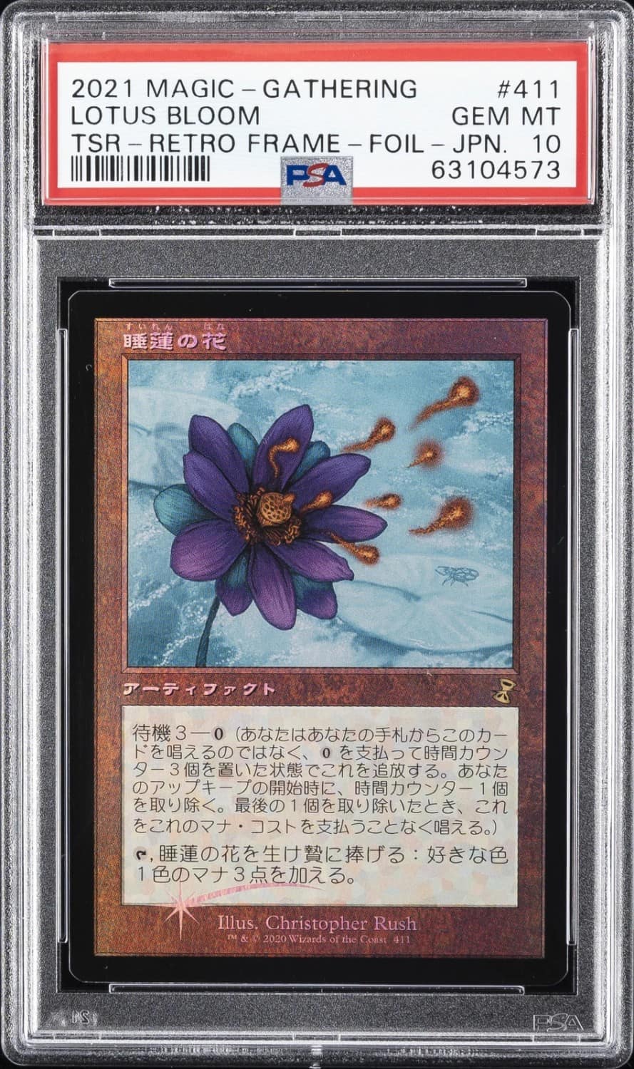 Lotus Bloom