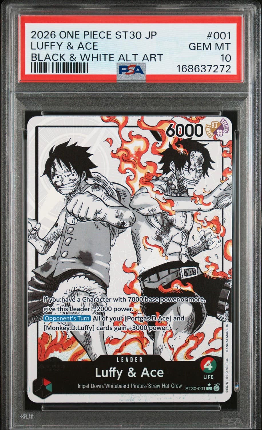 Luffy & Ace