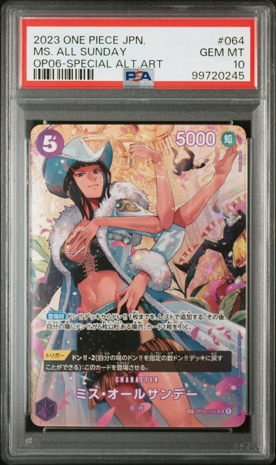Ms. All Sunday Foil Sp