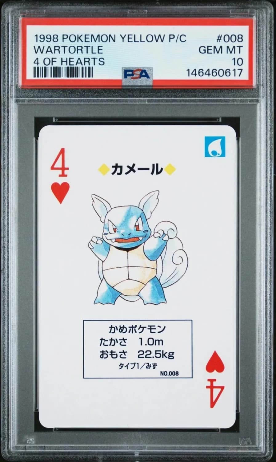 Wartortle