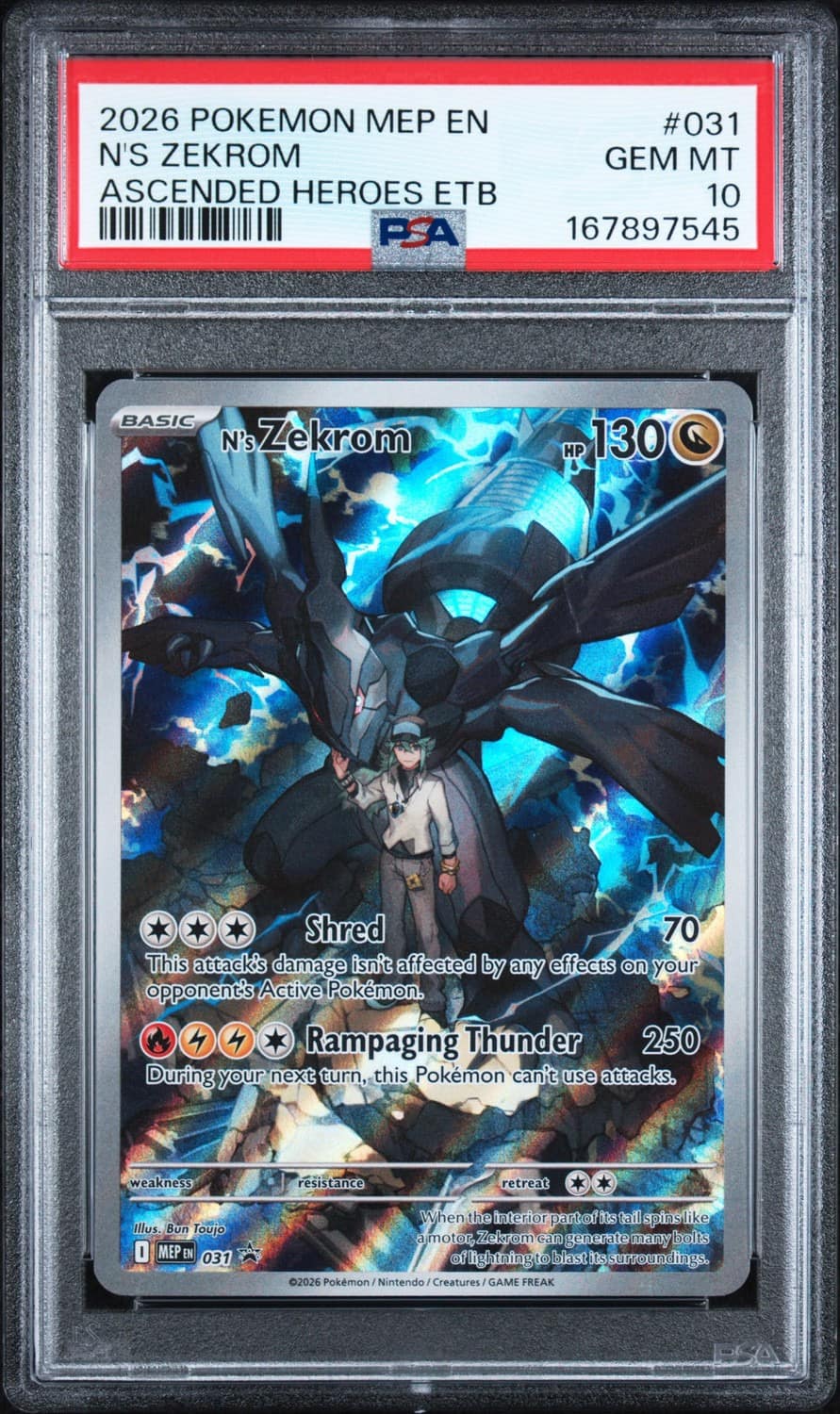 N'S Zekrom