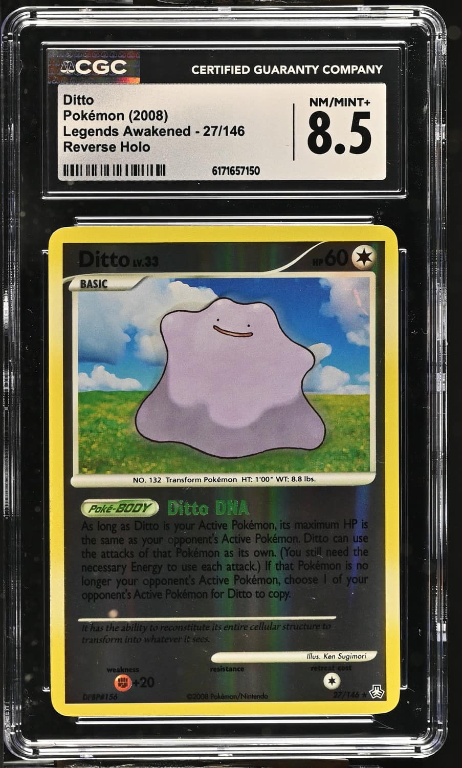 Ditto