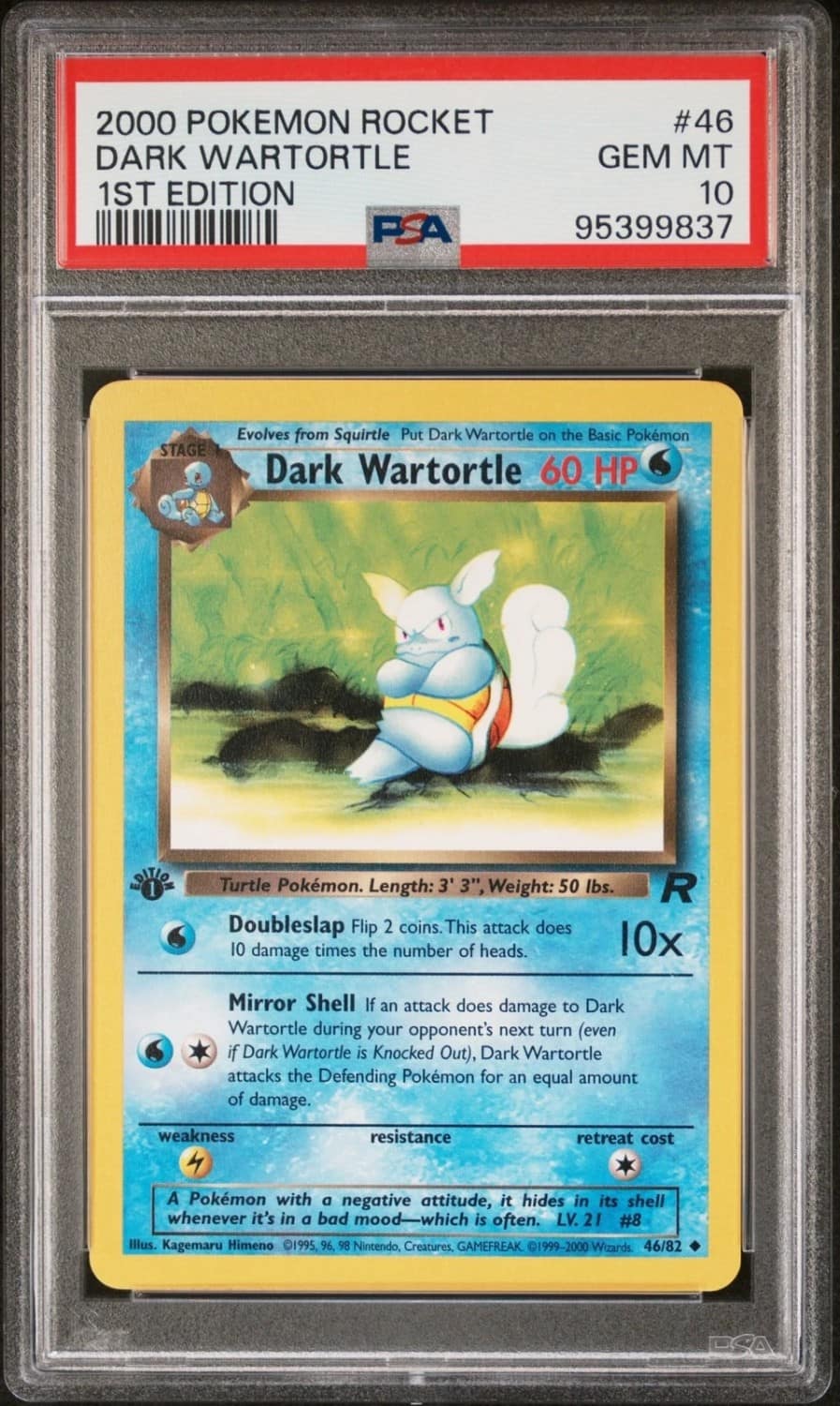Dark Wartortle