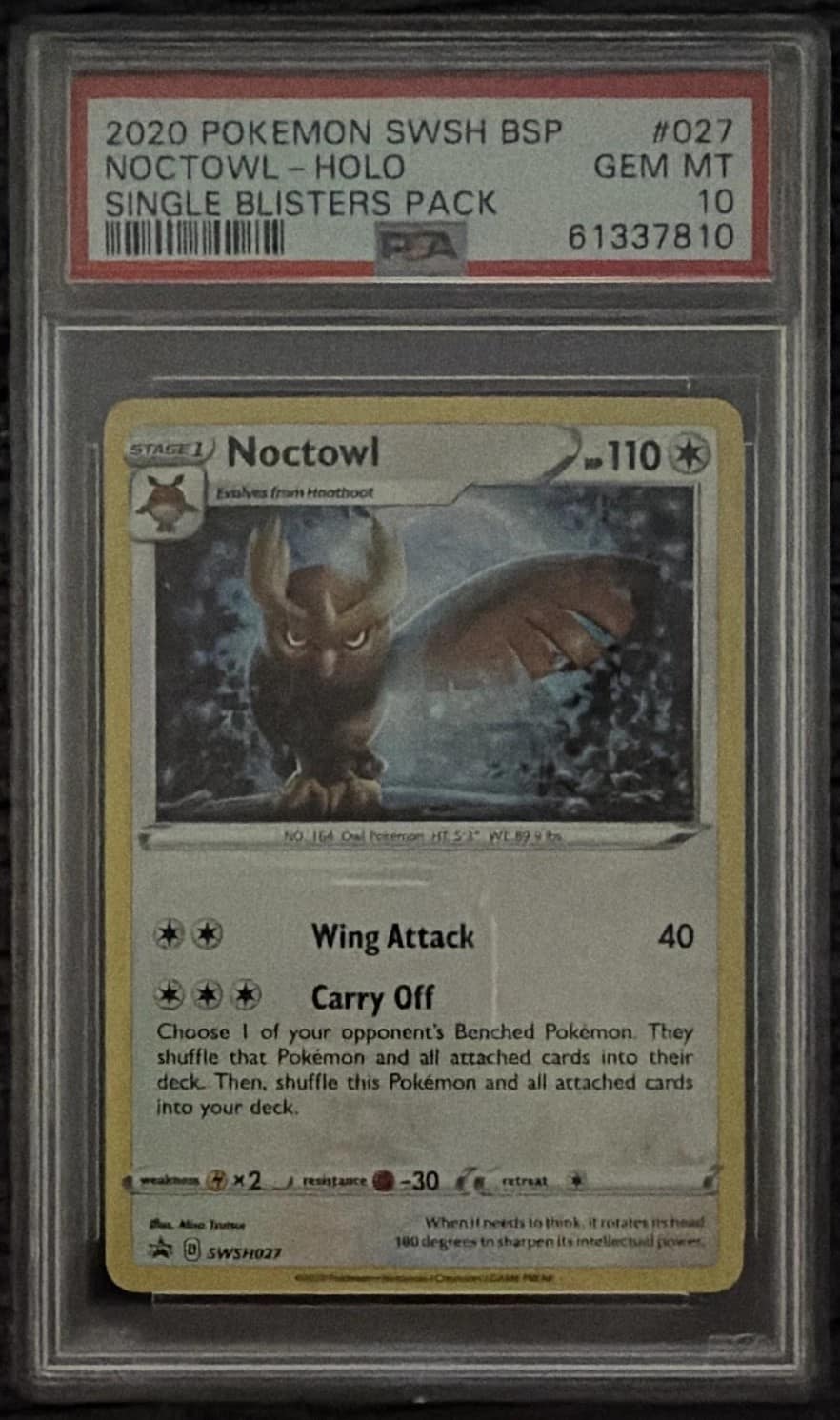 Noctowl