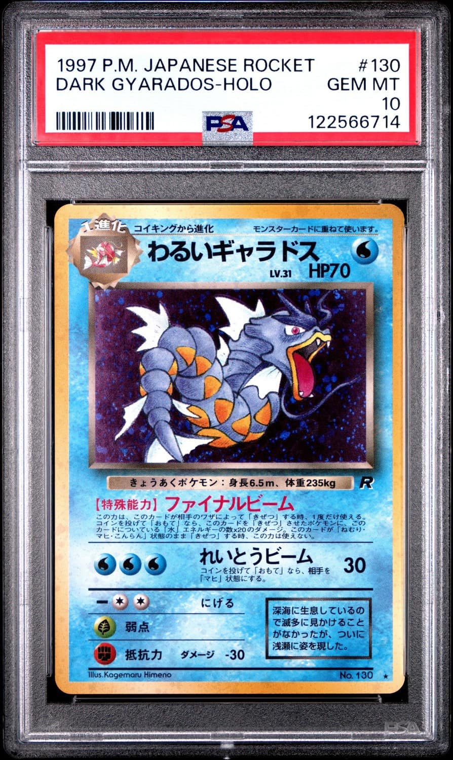 Dark Gyarados