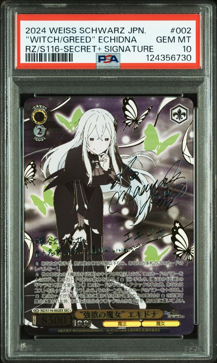 "witch/greed" Echidna