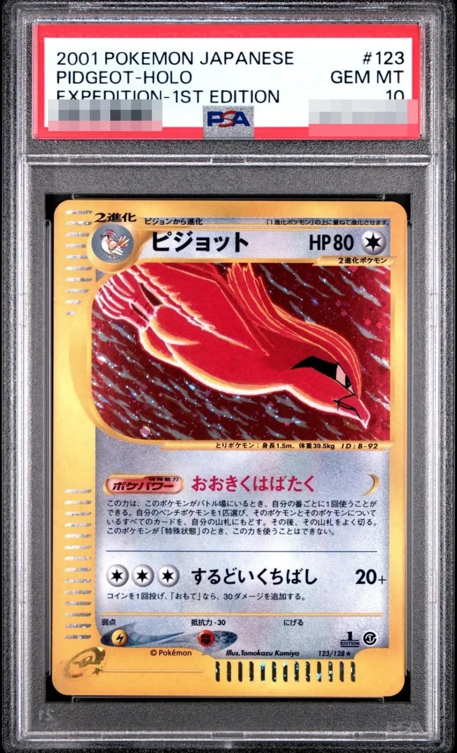 Pidgeot