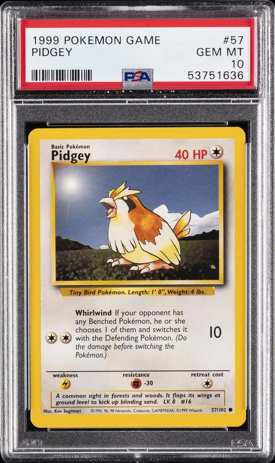 Pidgey