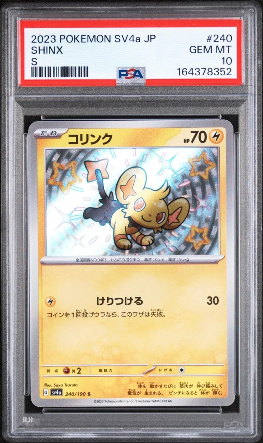 Shinx