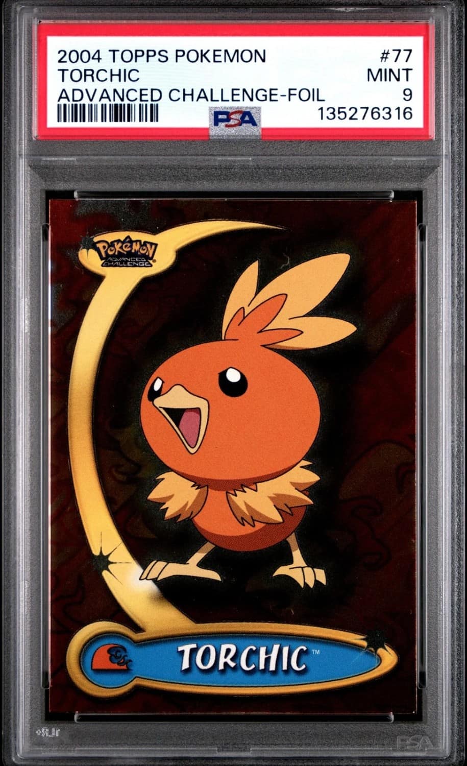 Torchic