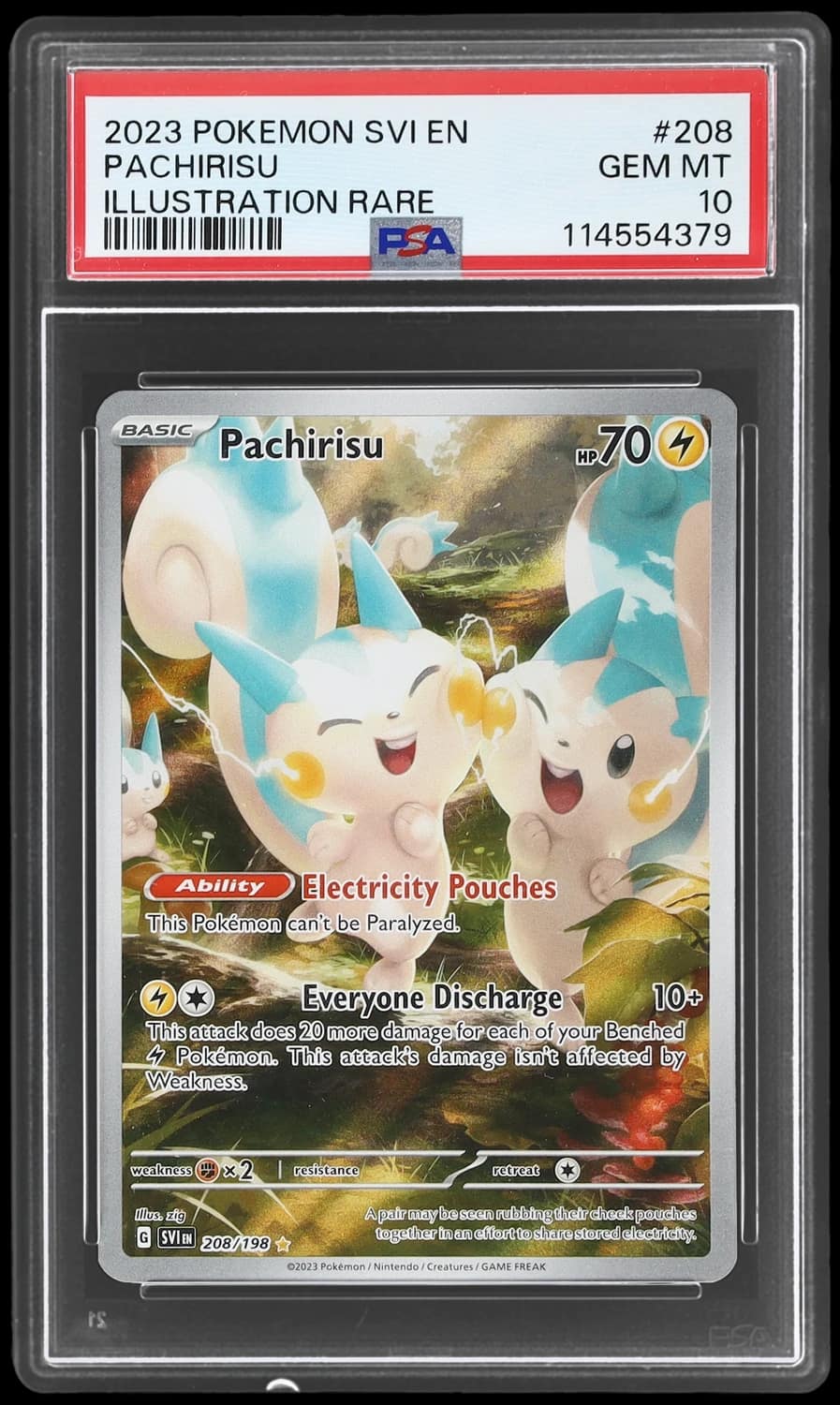 Pachirisu