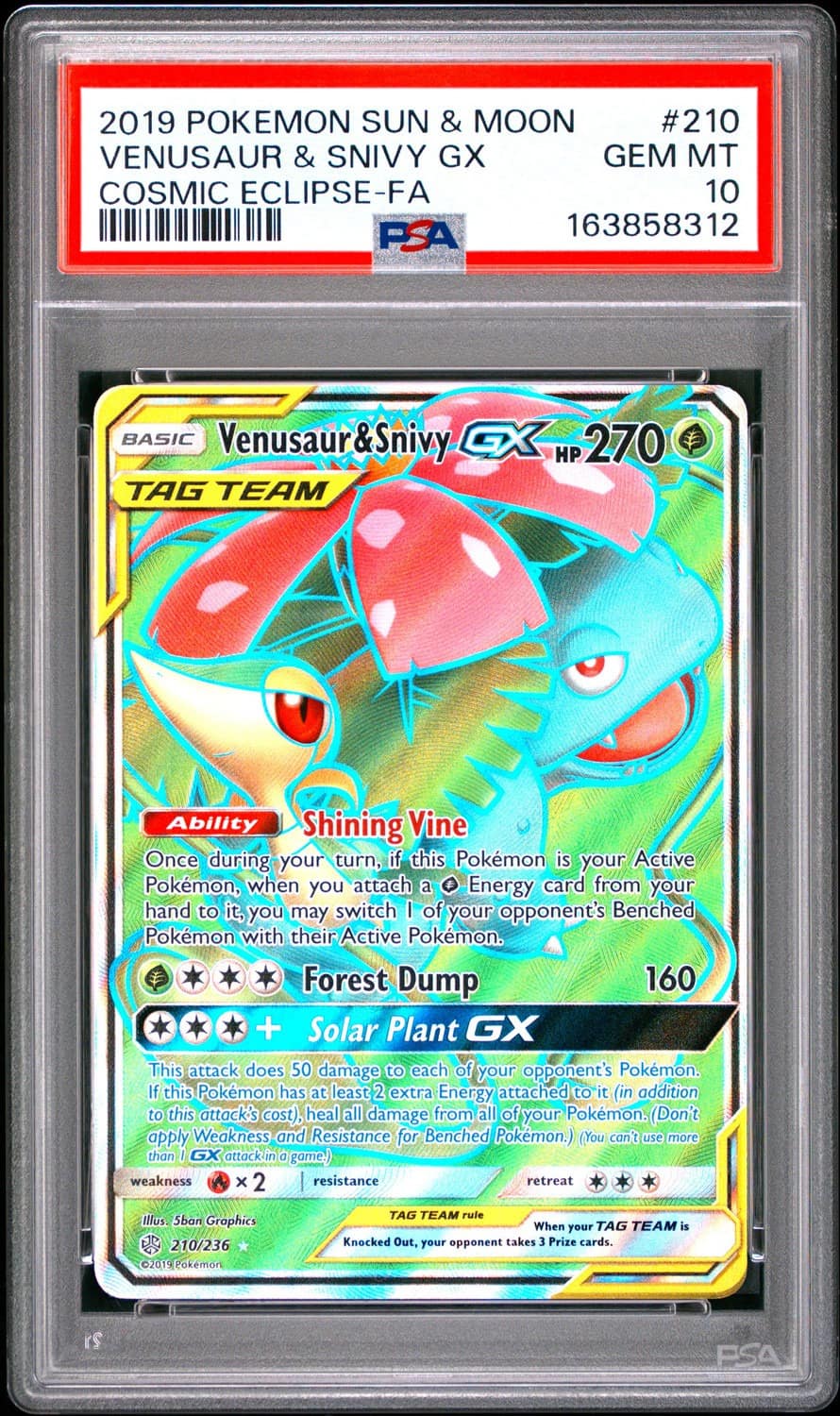 Venusaur & Snivy Gx