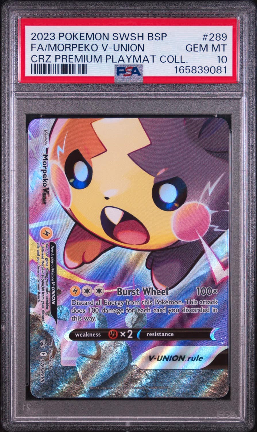Morpeko V-Union