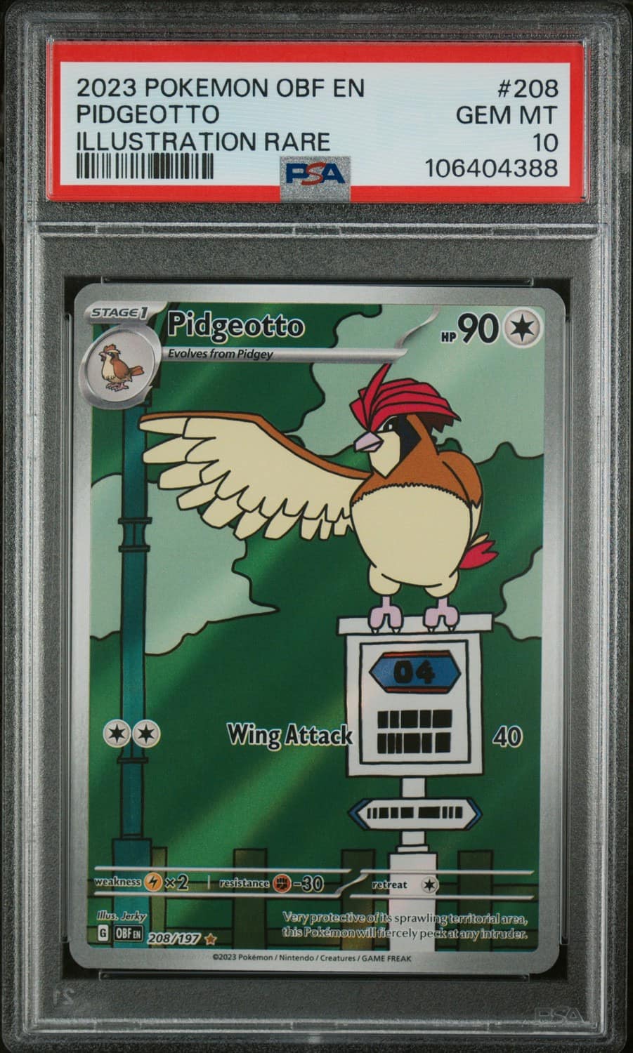 Pidgeotto